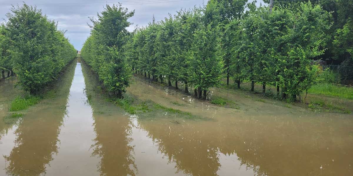 L'alluvione in Emilia Romagna vista dalle associazioni di categoria